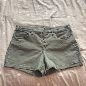 Green Universal Thread Button Front Shorts